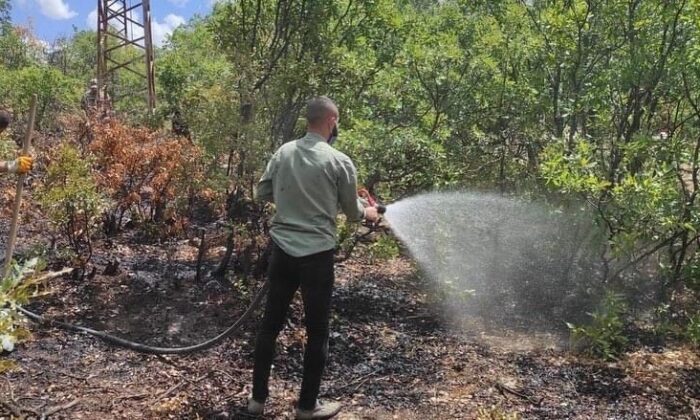 Bingöl’deki orman yangını kontrol altına alındı