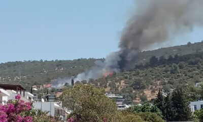 Bodrum’da yangın