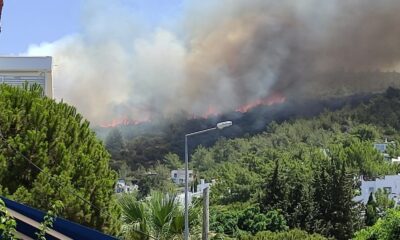 Bodrum’daki yangına ekiplerin müdahalesi başladı