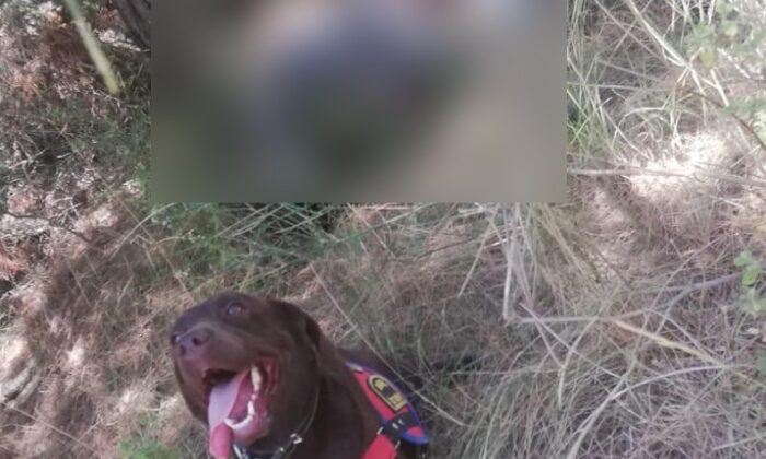 ‘Bugün beni beklemeyin’ diyen yaşlı adam mezarlıkta ölü bulundu