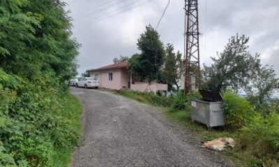 Bulaşıcı hastalık riski nedeniyle sakatatlar toprağa gömülüp üzerine kireç dökülmeli