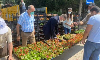 Bursa’da mezarlık ziyaretçilerine ücretsiz çiçek