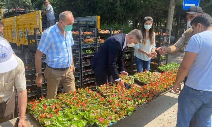 Bursa’da mezarlık ziyaretçilerine ücretsiz çiçek