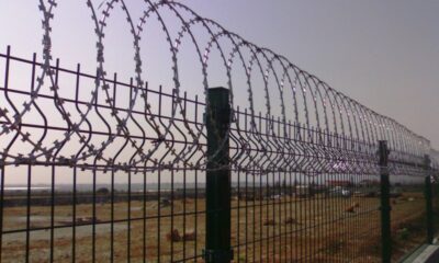 Büyükçekmece’de jiletli tel kullanımı yasaklanıyor