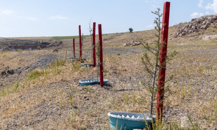 Büyükşehir ile ‘daha az su tüketimi daha fazla yeşil alan’