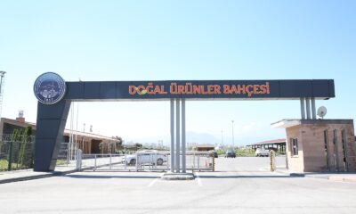 Büyükşehirden organik hizmet