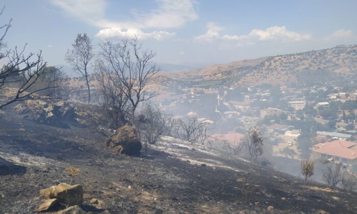 Çakırbeyli’deki yangın söndürüldü