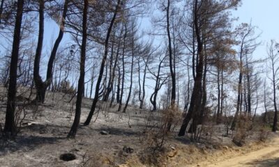 Çanakkale’de ormanlara girişler 1 ay süreyle yasaklandı