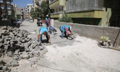 Canpolat parke çalışmalarını inceledi