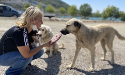 Çenesi kırıldı, sağlığına kavuşunca yeniden sokak hayvanlarına koştu
