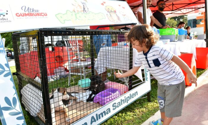 Çiğli’de 3. Pati Dostları Festivaline yoğun ilgi