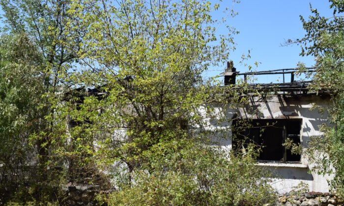 Çıkardığı yangında söndürme çalışmalarını izlerken yakalandı