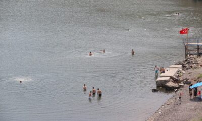 Çıldır Gölü cıvıl cıvıl