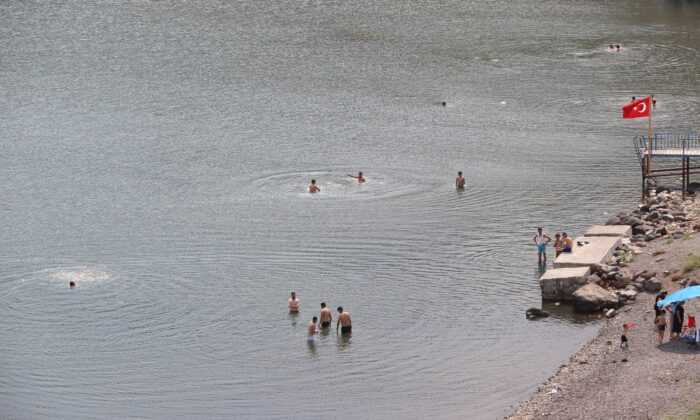 Çıldır Gölü cıvıl cıvıl