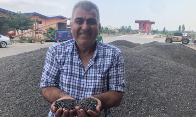 Çukurova’da ayçiçek tarlasında çifte bayram