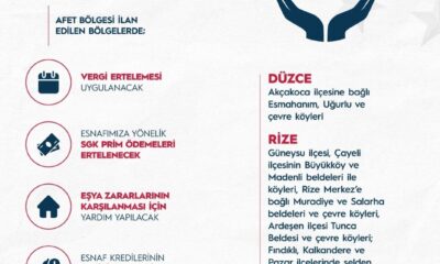 Cumhurbaşkanı Erdoğan: “Orman yangınlarından etkilenen bölgelerimizi “Genel Hayata Etkili Afet Bölgesi” ilan ettik”