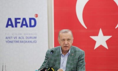 Cumhurbaşkanı Erdoğan: “Ormanlarımızı yakanları bulup ciğerlerini yakmak boynumuzun borcudur”