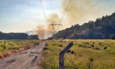 Dalaman’da orman yangınını söndürme çalışmaları sürüyor
