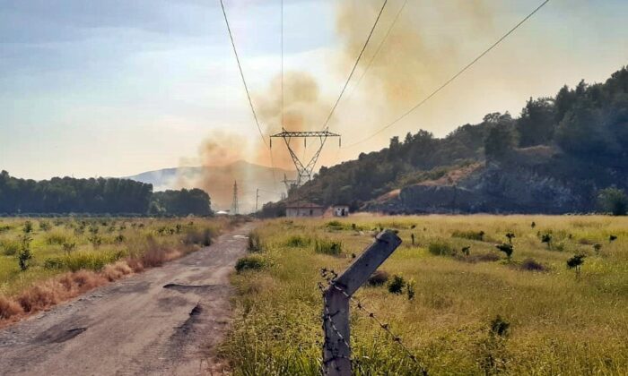 Dalaman’da orman yangınını söndürme çalışmaları sürüyor