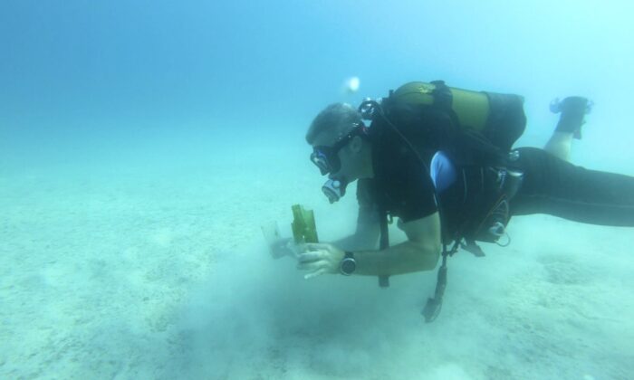 Dalgıç kaymakamdan ’Atık’ paylaşımı