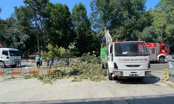 Devrilen ağaçtan saniyelerle kurtuldular