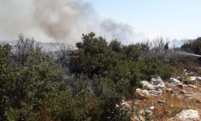 Didim’de çıkan yangın evlere sıçramadan kontrol altına alındı