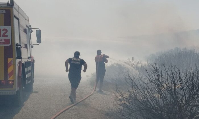 Didim’de makilik ve zeytinlik alanda yangın çıktı