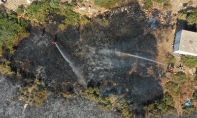 Didim’deki yangın kontrol altına alındı