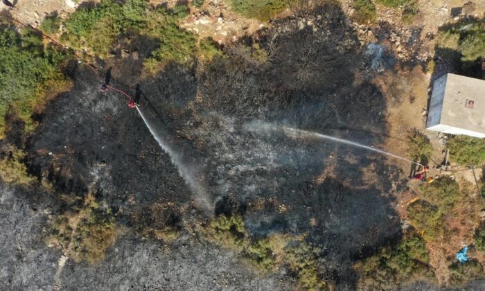 Didim’deki yangın kontrol altına alındı