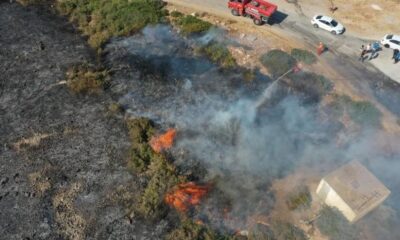 Didim’deki yangınla ilgili 3 şüpheli gözaltına alındı