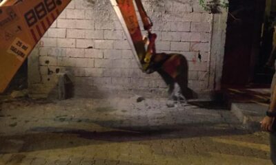 Diyarbakır’da çukura düşen yavru köpeğin annesi, yavrusu çukurdan kurtarılana kadar bekledi