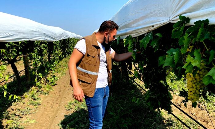 Dolu ve fırtına 11 bin dekarlık alana zarar verdi