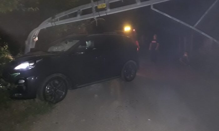 Domuza çarpmamak için direğe çarptı: 1 yaralı