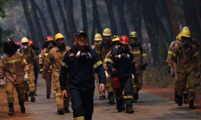 Dünyanın ciğerleri yanıyor: 40’tan fazla ülkede ormanlar alev alev
