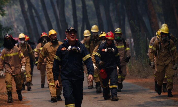 Dünyanın ciğerleri yanıyor: 40’tan fazla ülkede ormanlar alev alev