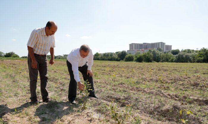 “Edirne Gülü Bahçesi” oluşturuldu