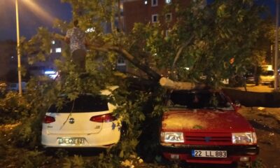 Edirne’de fırtına ağaçları araçların üzerine devirdi