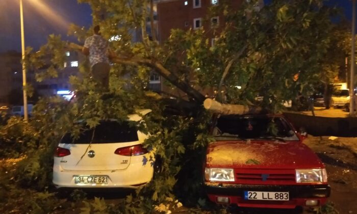 Edirne’de fırtına ağaçları araçların üzerine devirdi
