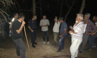 Edirne’de orman yangını kontrol altına alındı