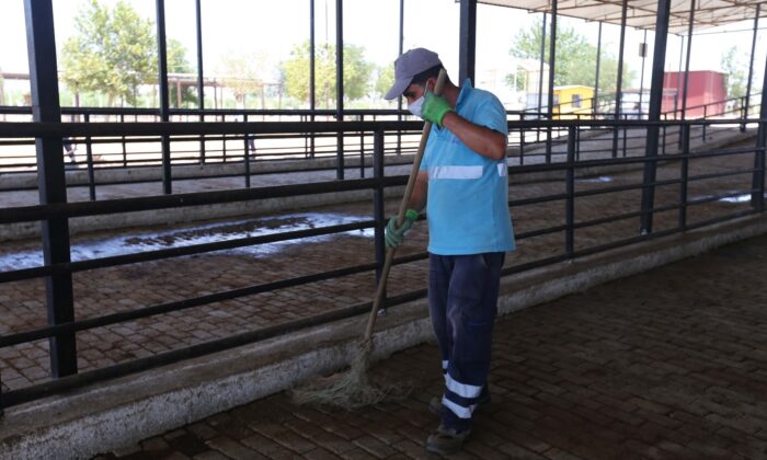 Efeler Belediyesi kurban pazarlarını bayrama hazırlıyor