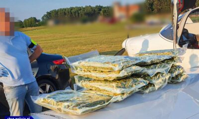 Eğitim uçağıyla İspanya’dan Polonya’ya uyuşturucu sevkiyatı