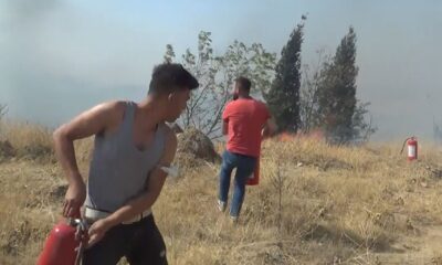 Ekmek teknelerini kurtarmak için canlarını hiçe saydılar