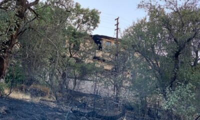 Elazığ’da çıkan yangında bir ev ve bahçeler zarar gördü