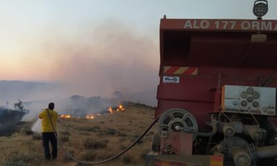 Elazığ’da örtü yangını: 170 dönümlük alan zarar gördü