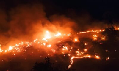 Elazığ’daki örtü yangını rüzgarın etkisiyle yeniden alevlendi