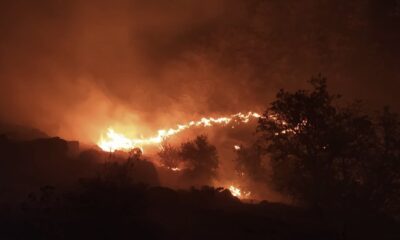 Elazığ’daki örtü yangını söndürüldü