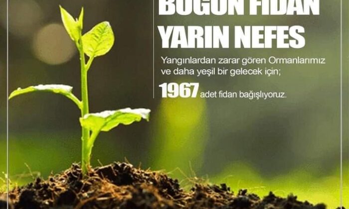 Elazığspor, 1967 fidan bağışlayacak