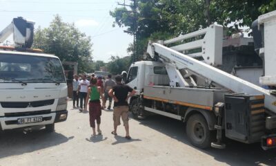 Elektrik direğinde feci ölüm