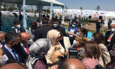 Emine Erdoğan ses telleri kesilen köpeği sanatçı Yonca Evcimik’e emanet etti