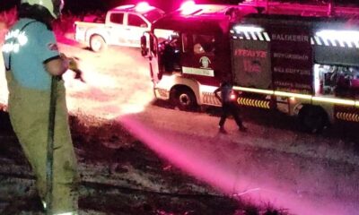 Erdek’te arazi yangını korkuttu